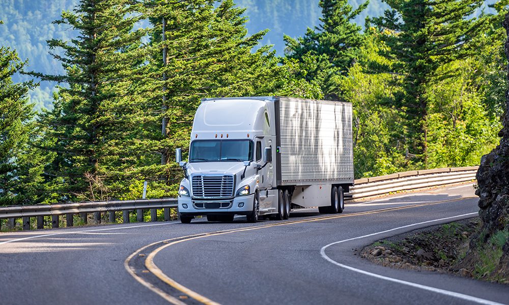 Monitor FMCSA and USDOT commercial driving records